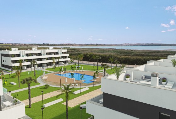 Apartamento / piso - Obra nueva - Guardamar del Segura - Guardamar del Segura