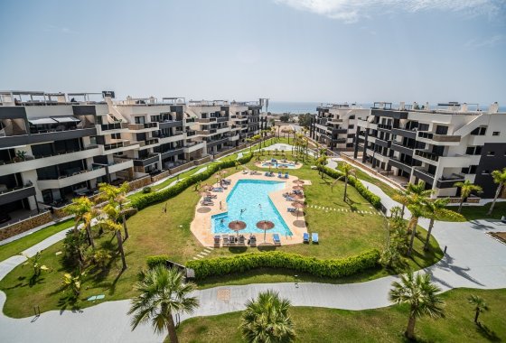 Apartamento / piso - Reventa - Playa Flamenca - Playa Flamenca