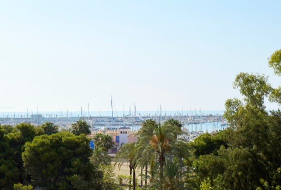 Apartment / flat - Resale - Torrevieja - Playa del Acequión