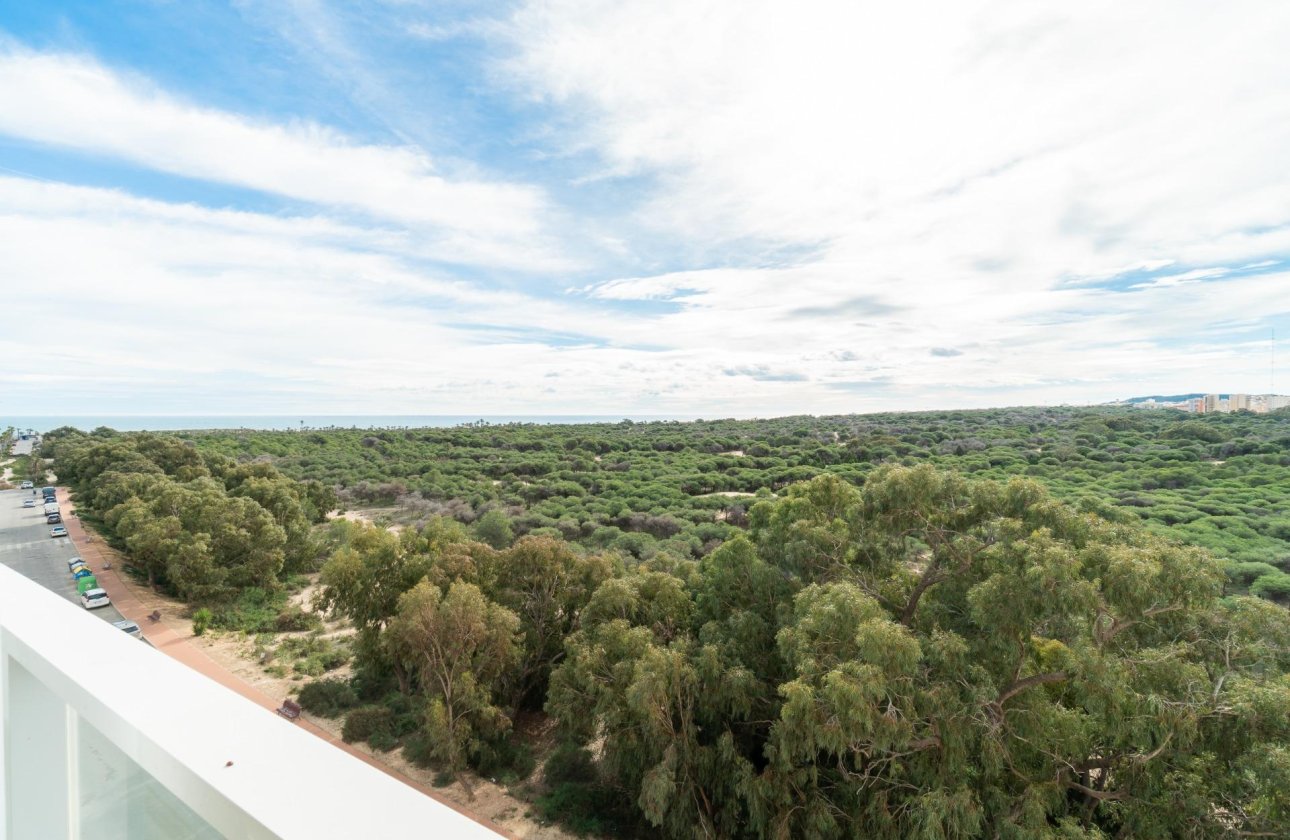 Återförsäljning - Lägenhet / lägenhet - Guardamar del Segura - Guardamar Playa