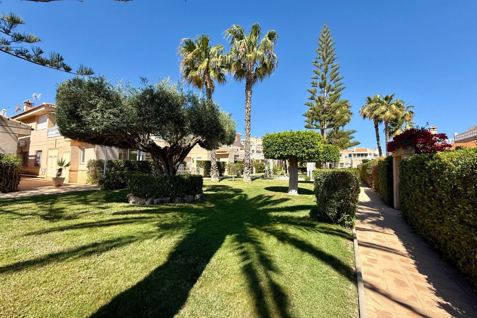 Återförsäljning - Lägenhet / lägenhet - Orihuela Costa - Playa Flamenca
