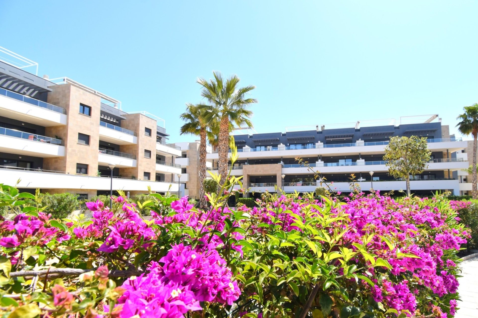 Återförsäljning - Lägenhet / lägenhet - Orihuela Costa - Playa Flamenca