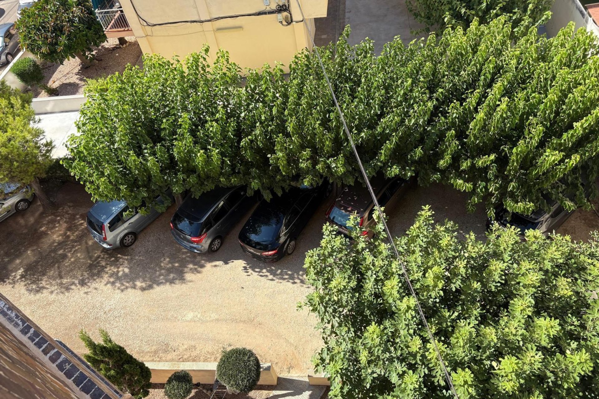 Återförsäljning - Lägenhet / lägenhet - Torrevieja - LA MATA