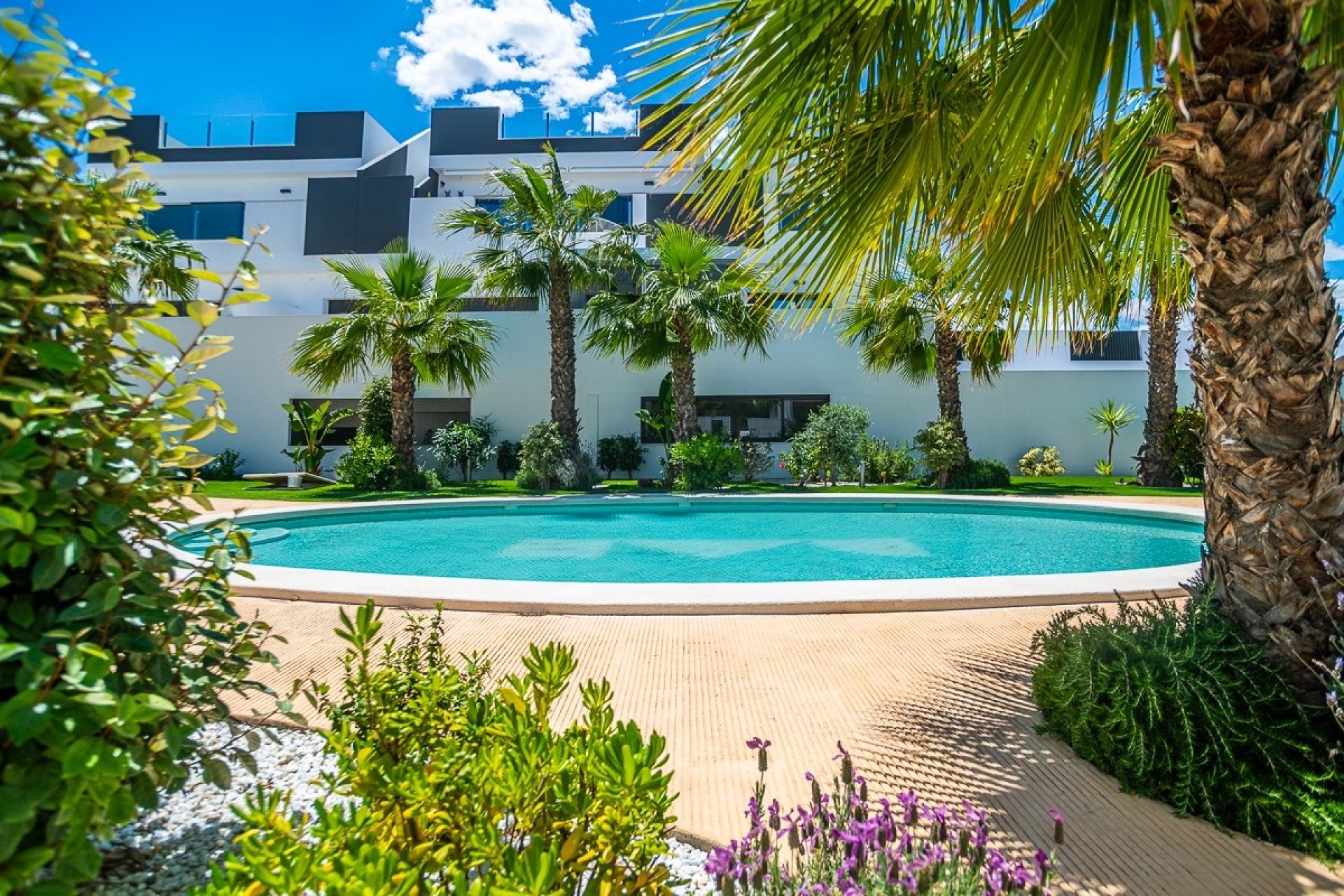 Återförsäljning - Lägenhet / lägenhet - Torrevieja - LOS BALCONES - LOS ALTOS
