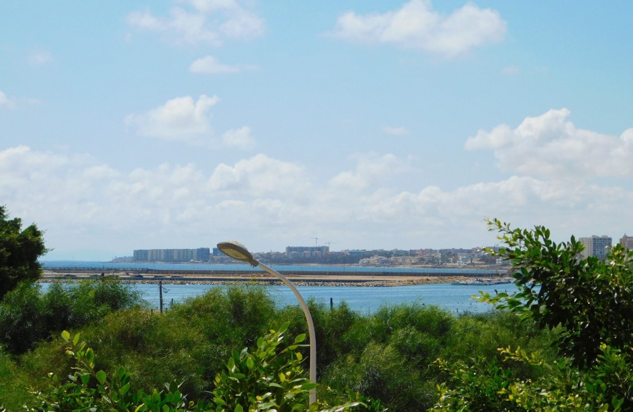 Återförsäljning - Lägenhet / lägenhet - Torrevieja