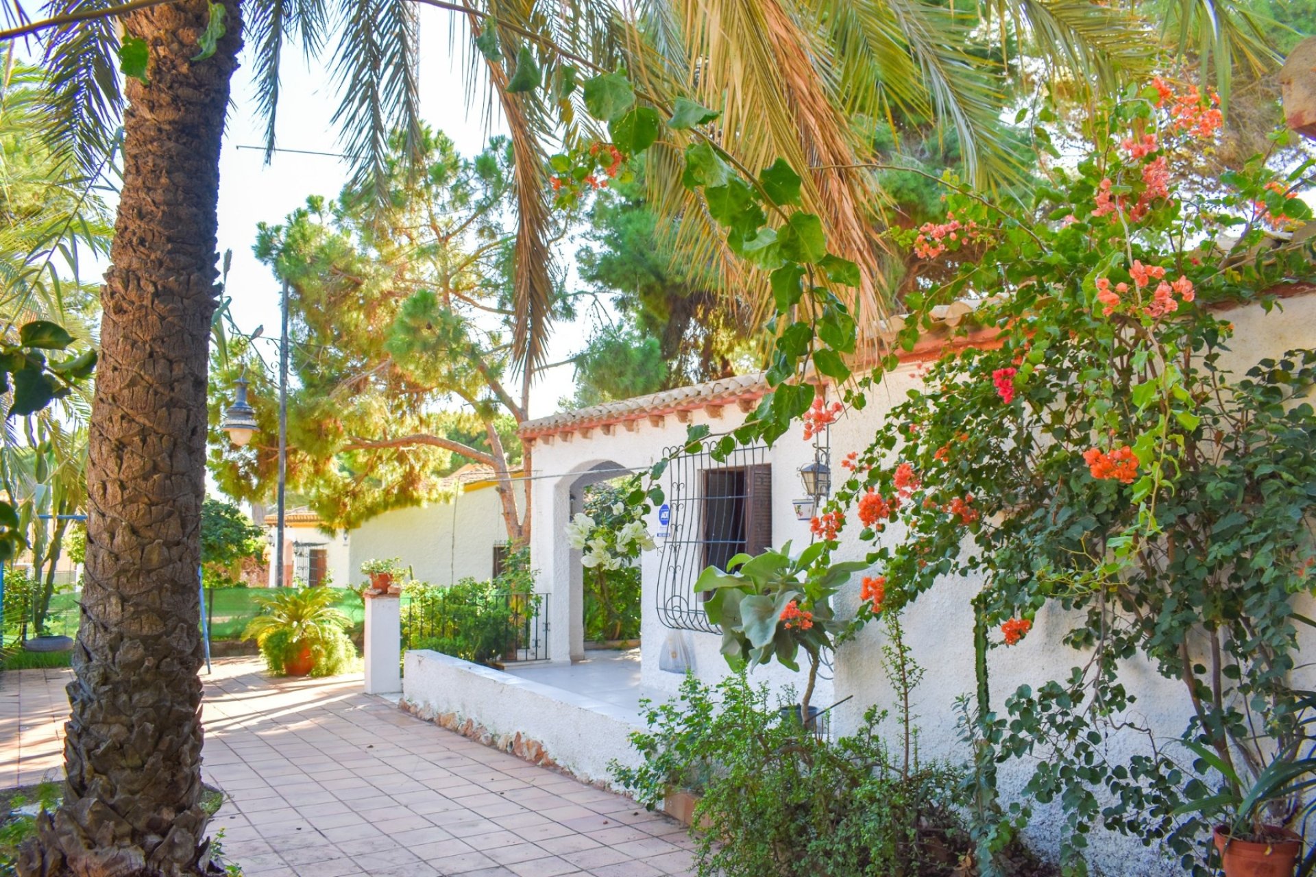 Återförsäljning - Villa - Orihuela Costa - Punta Prima