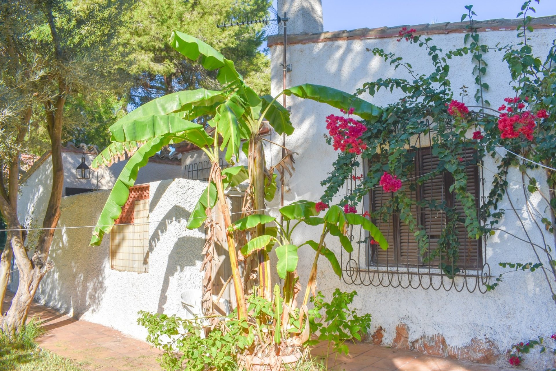 Återförsäljning - Villa - Orihuela Costa - Punta Prima