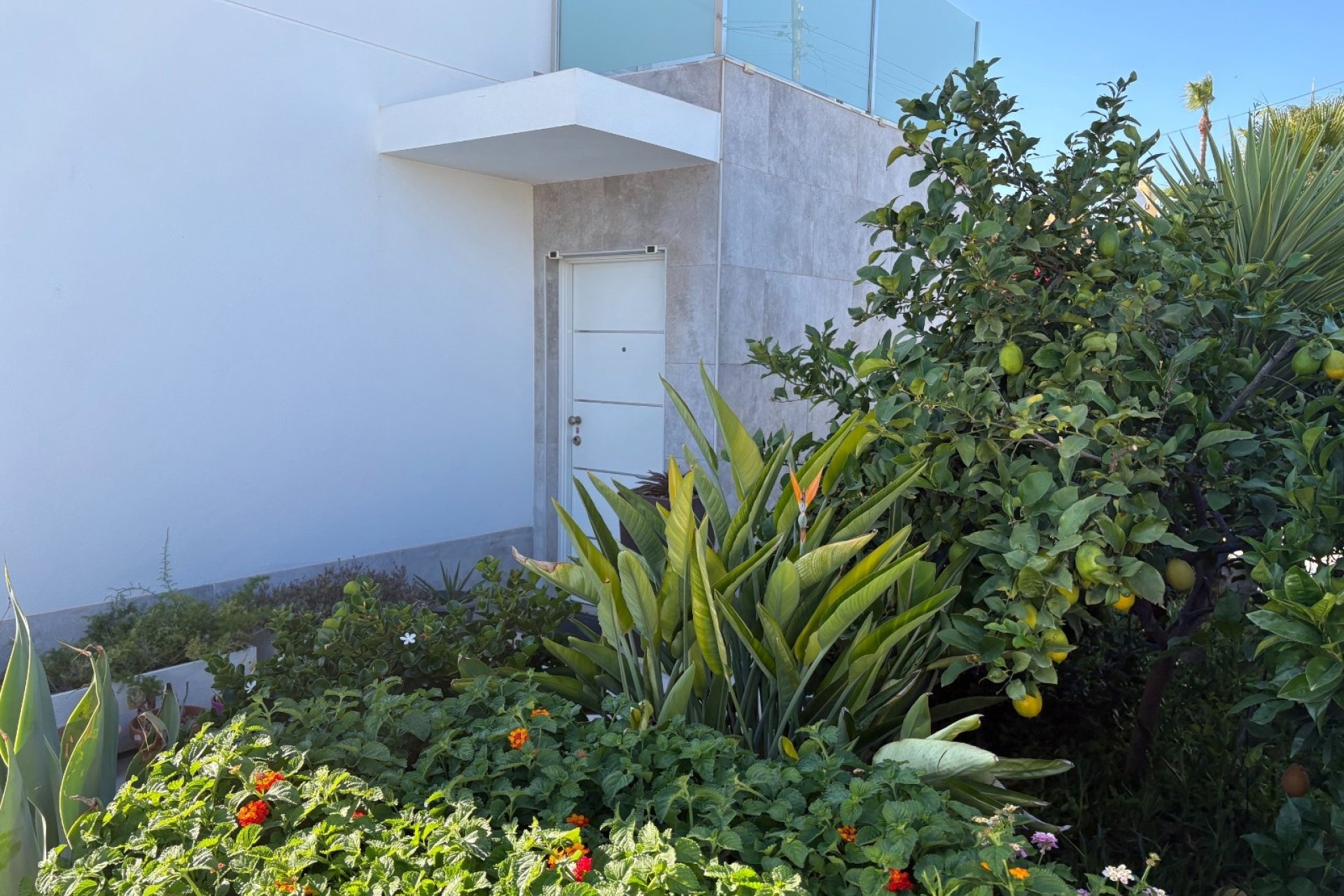 Återförsäljning - Villa - Torrevieja - Torreta - Florida