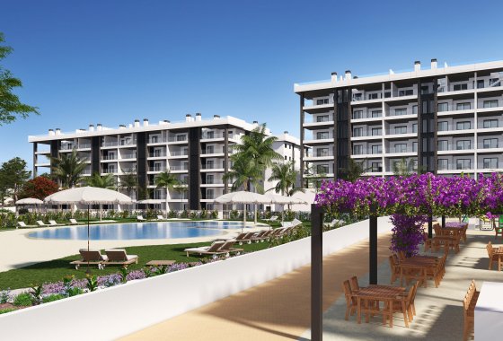 Atico - Obra nueva - Torrevieja - Torrevieja