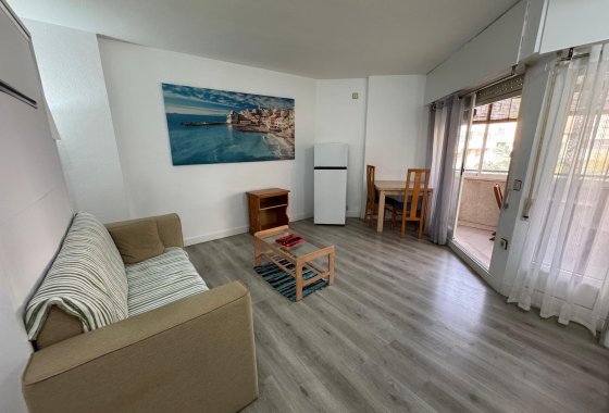 Estudio - Reventa - Torrevieja - Playa de Los Locos-Curva del Palangre
