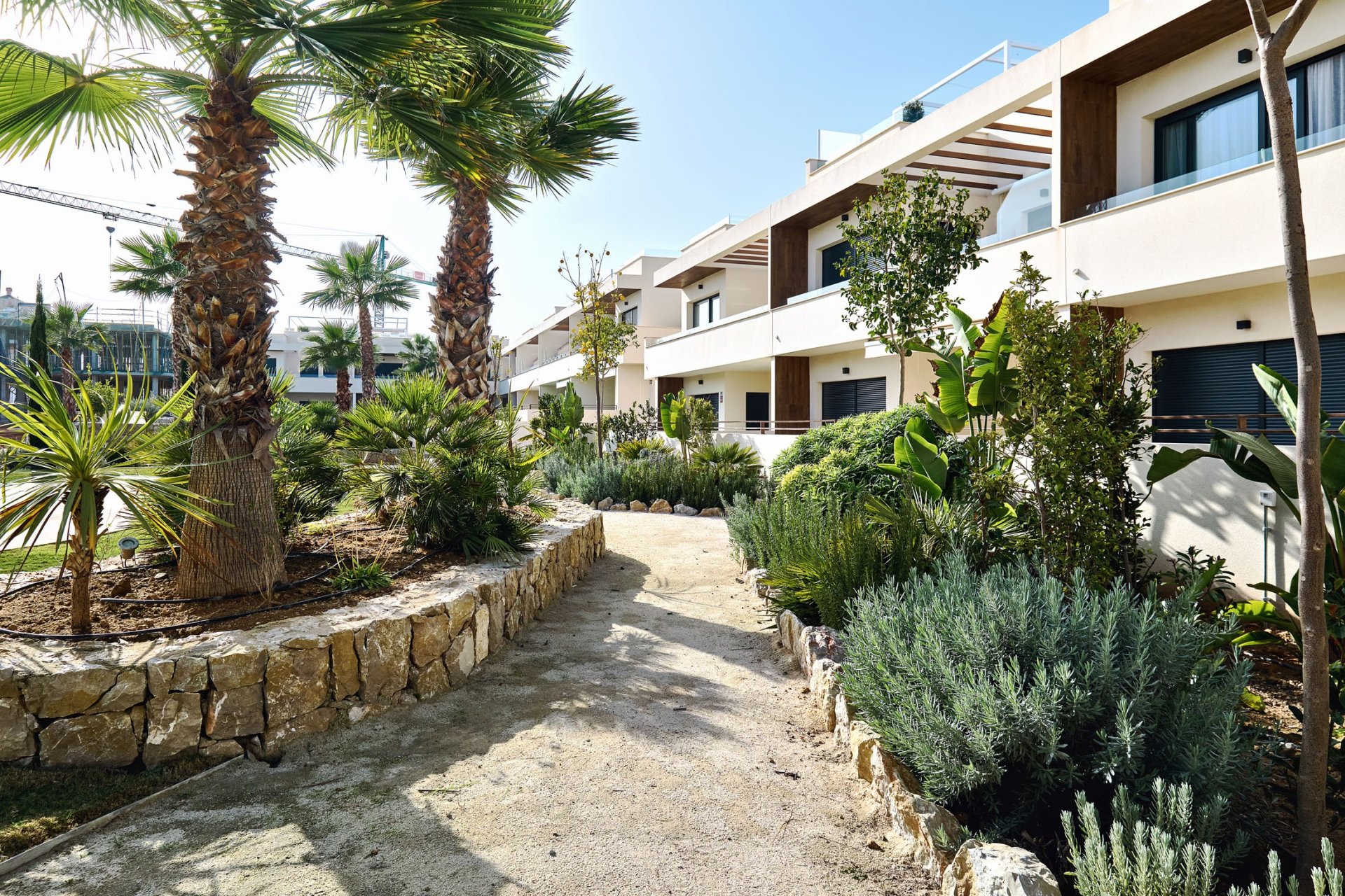 Nybyggnation - Bungalow - Torrevieja