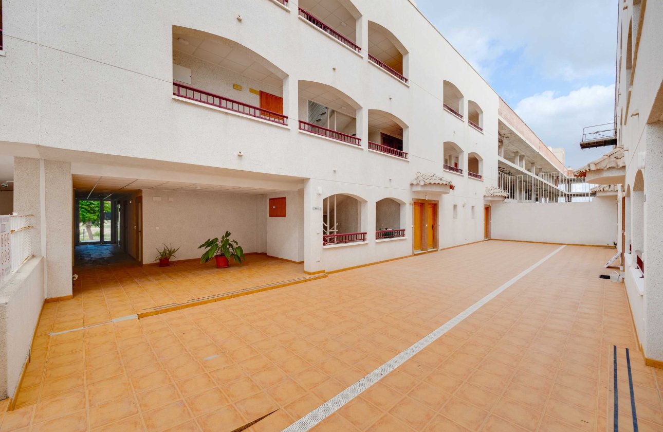 Obra nueva - Apartamento / piso - San Fulgencio