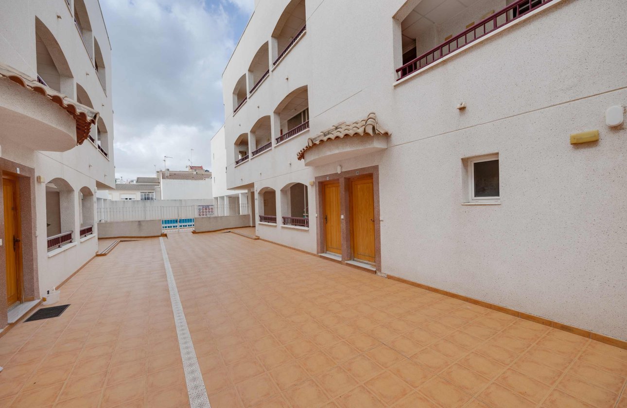 Obra nueva - Apartamento / piso - San Fulgencio