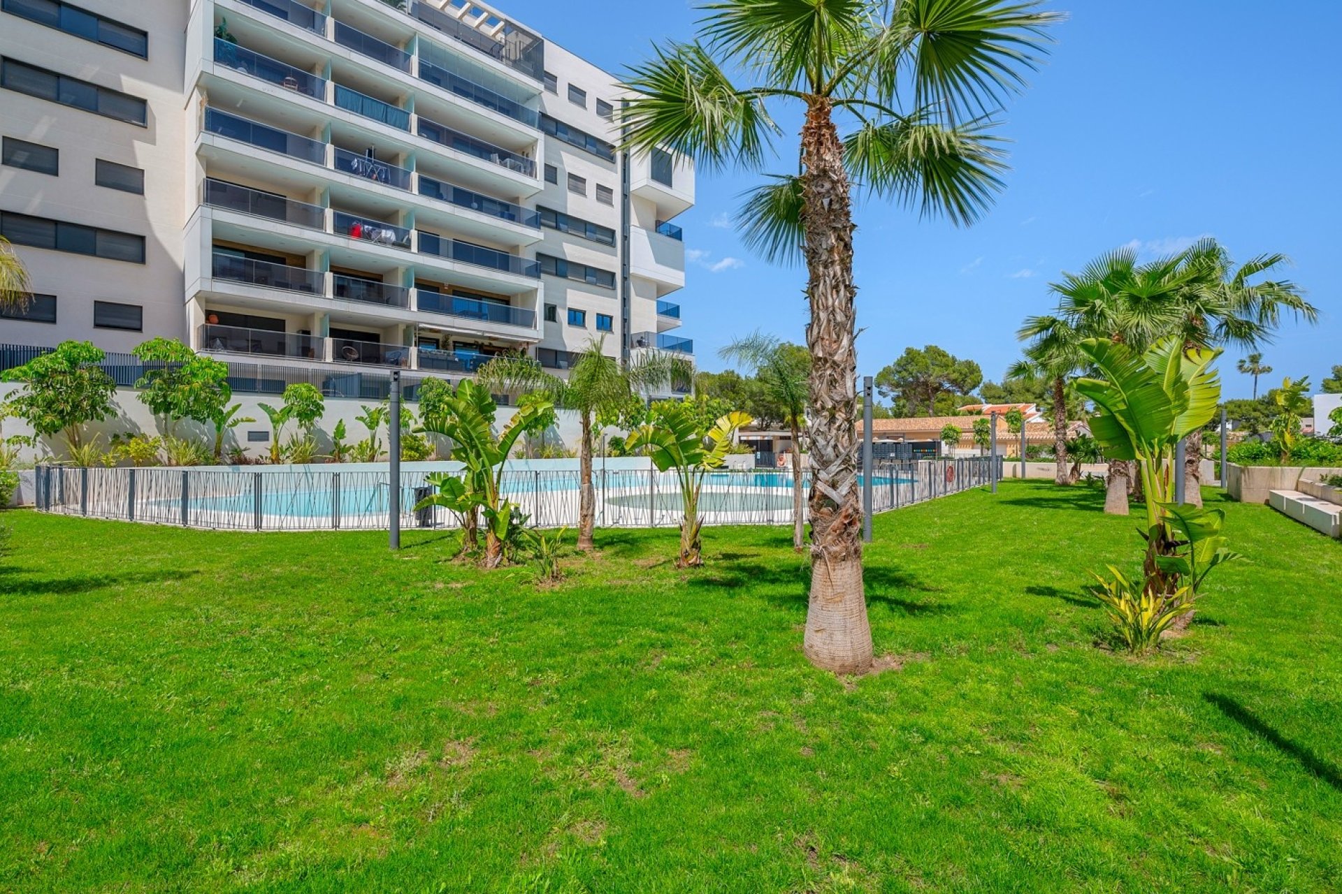 Resale - Apartment / flat - Dehesa de Campoamor - Dehesa de campoamor