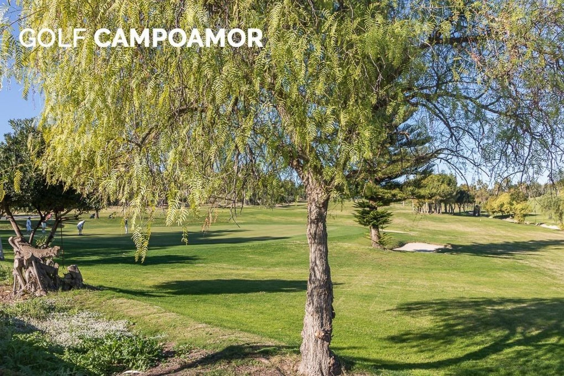 Resale - Apartment / flat - Orihuela Costa - Campoamor