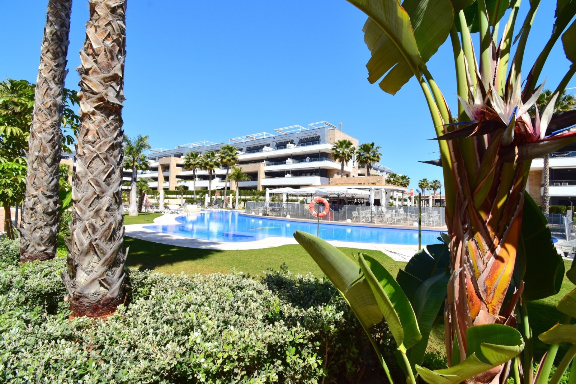 Resale - Apartment / flat - Orihuela Costa - Playa Flamenca