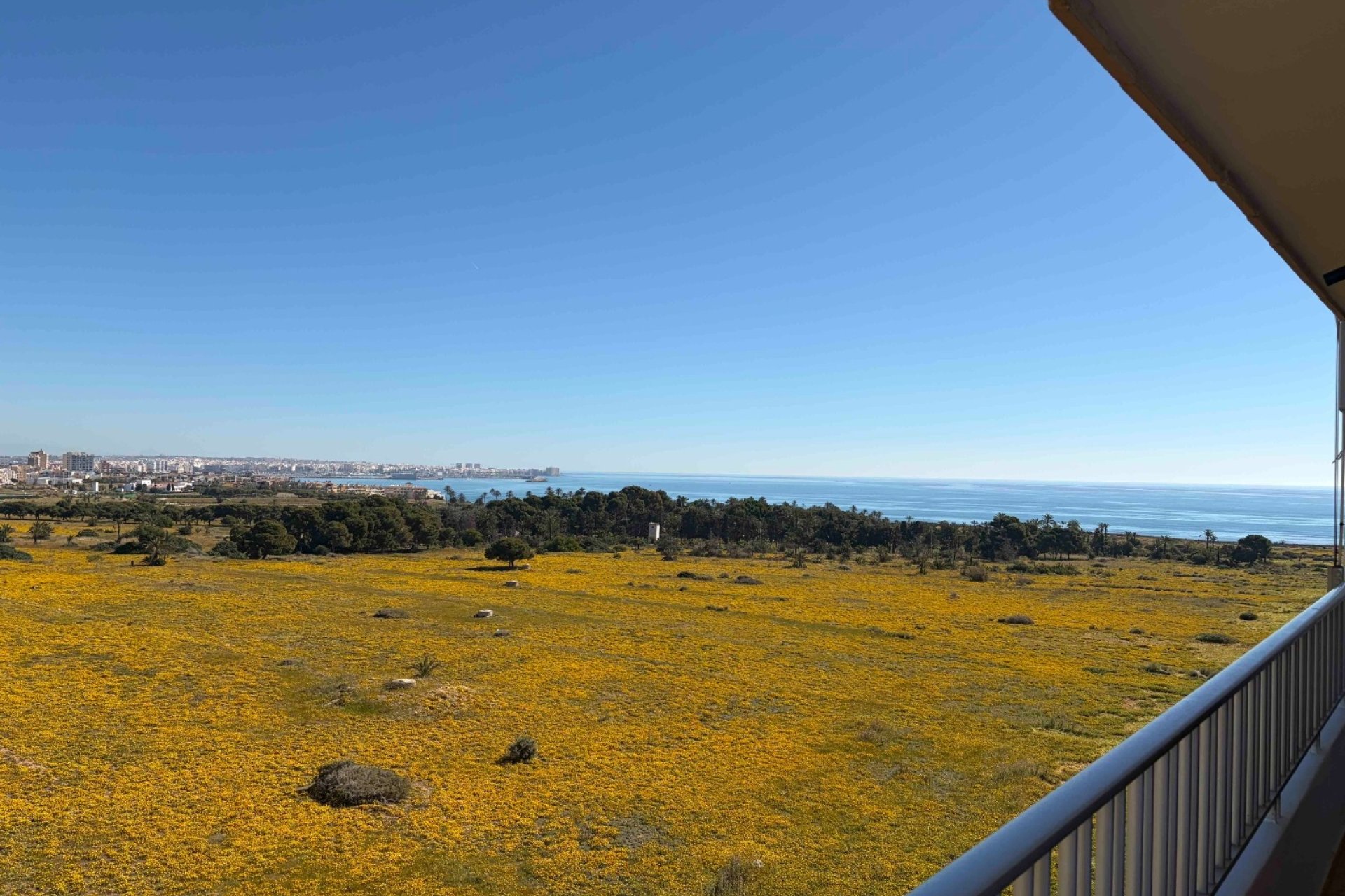 Resale - Apartment / flat - Orihuela Costa - Punta Prima