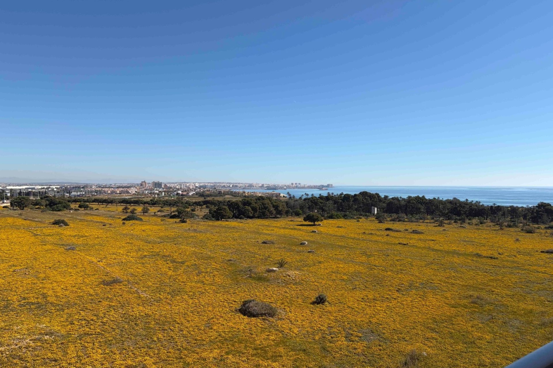 Resale - Apartment / flat - Orihuela Costa - Punta Prima