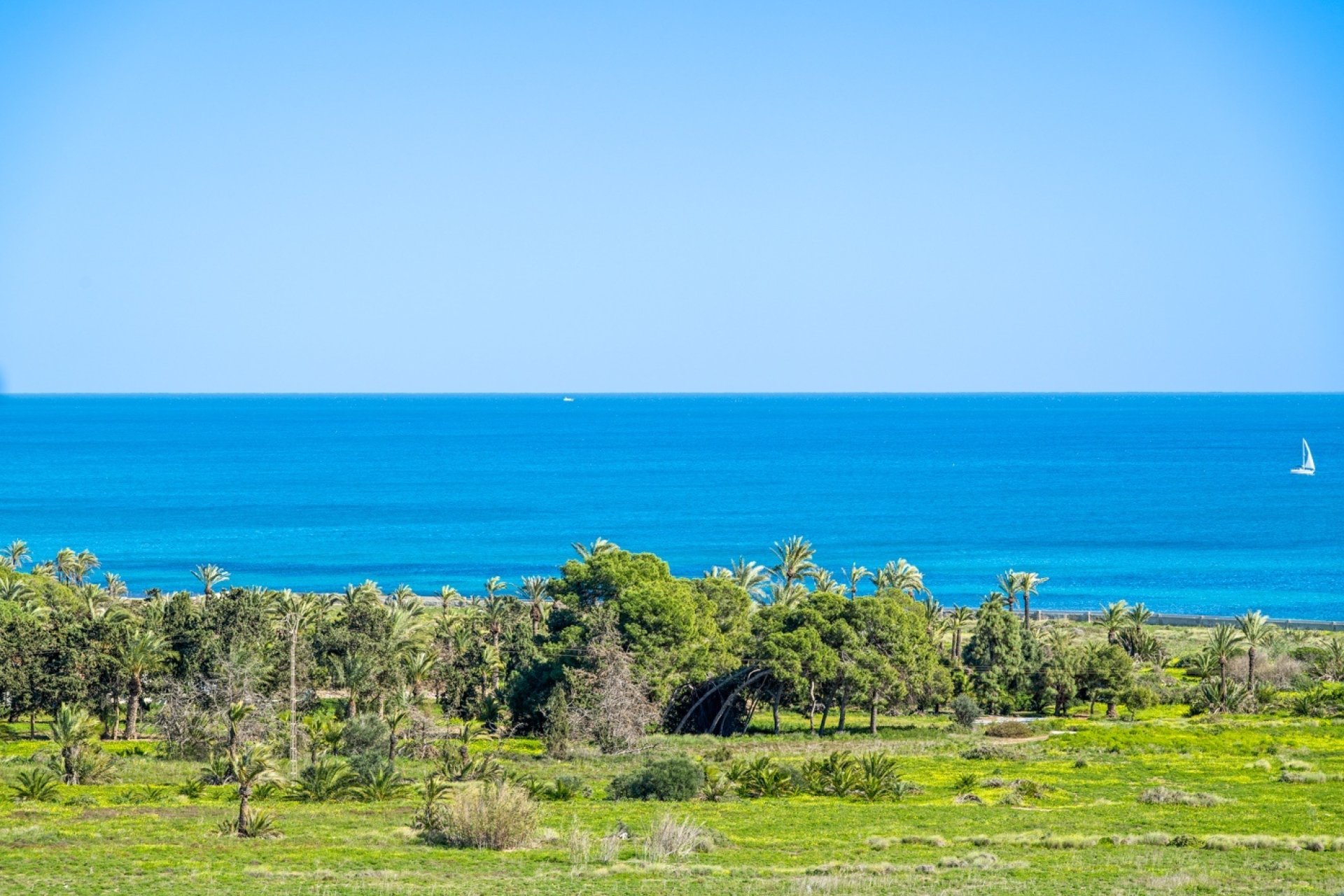 Resale - Apartment / flat - Orihuela Costa - Punta Prima