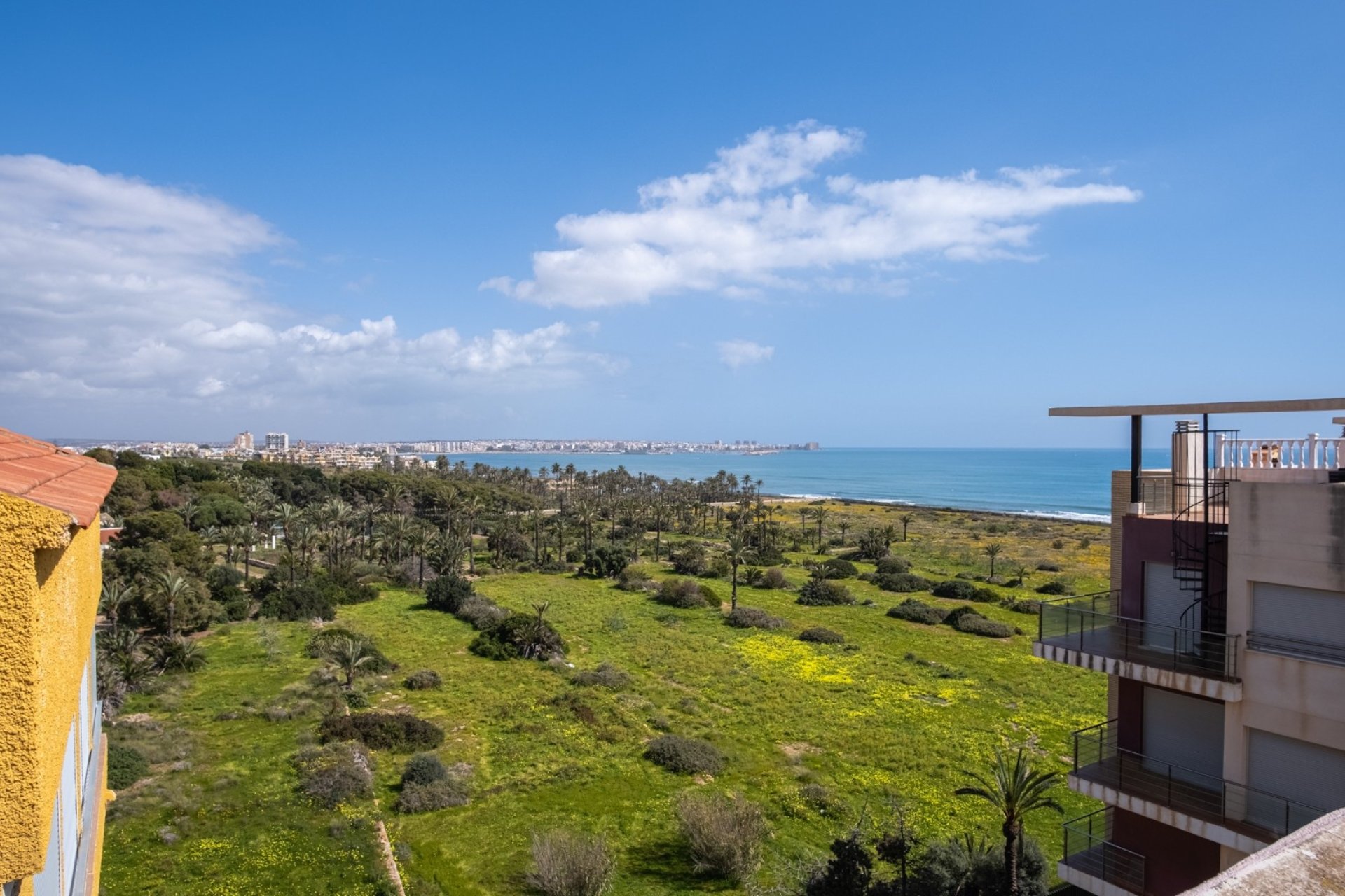 Resale - Apartment / flat - Orihuela Costa - Punta Prima