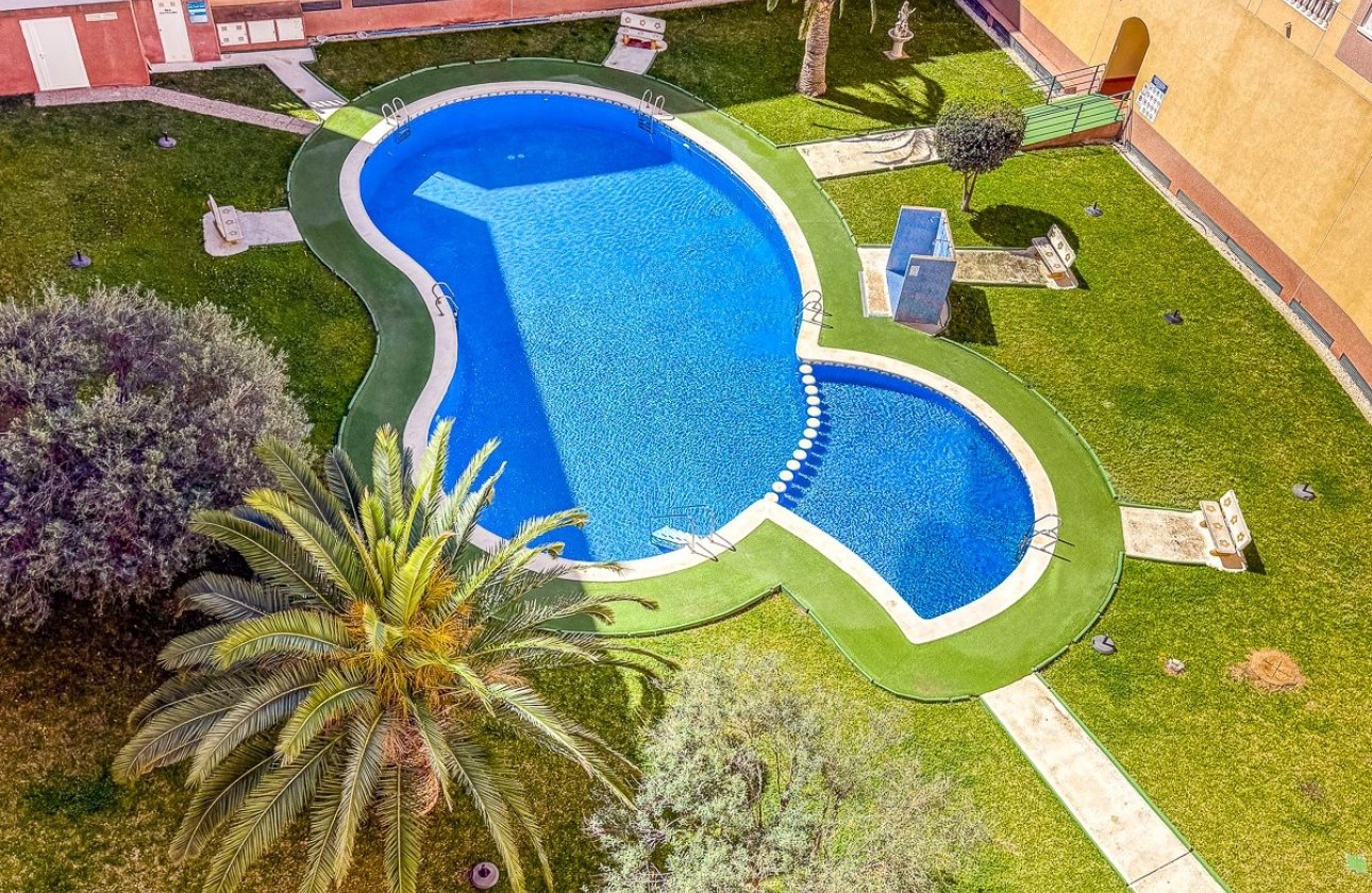 Resale - Apartment / flat - Torrevieja - Parque de las Naciones