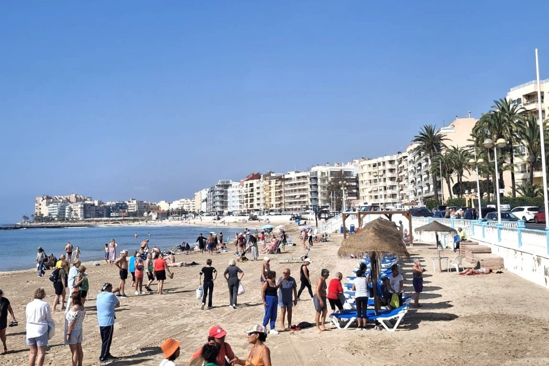 Resale - Apartment / flat - Torrevieja - Playa Los Locos