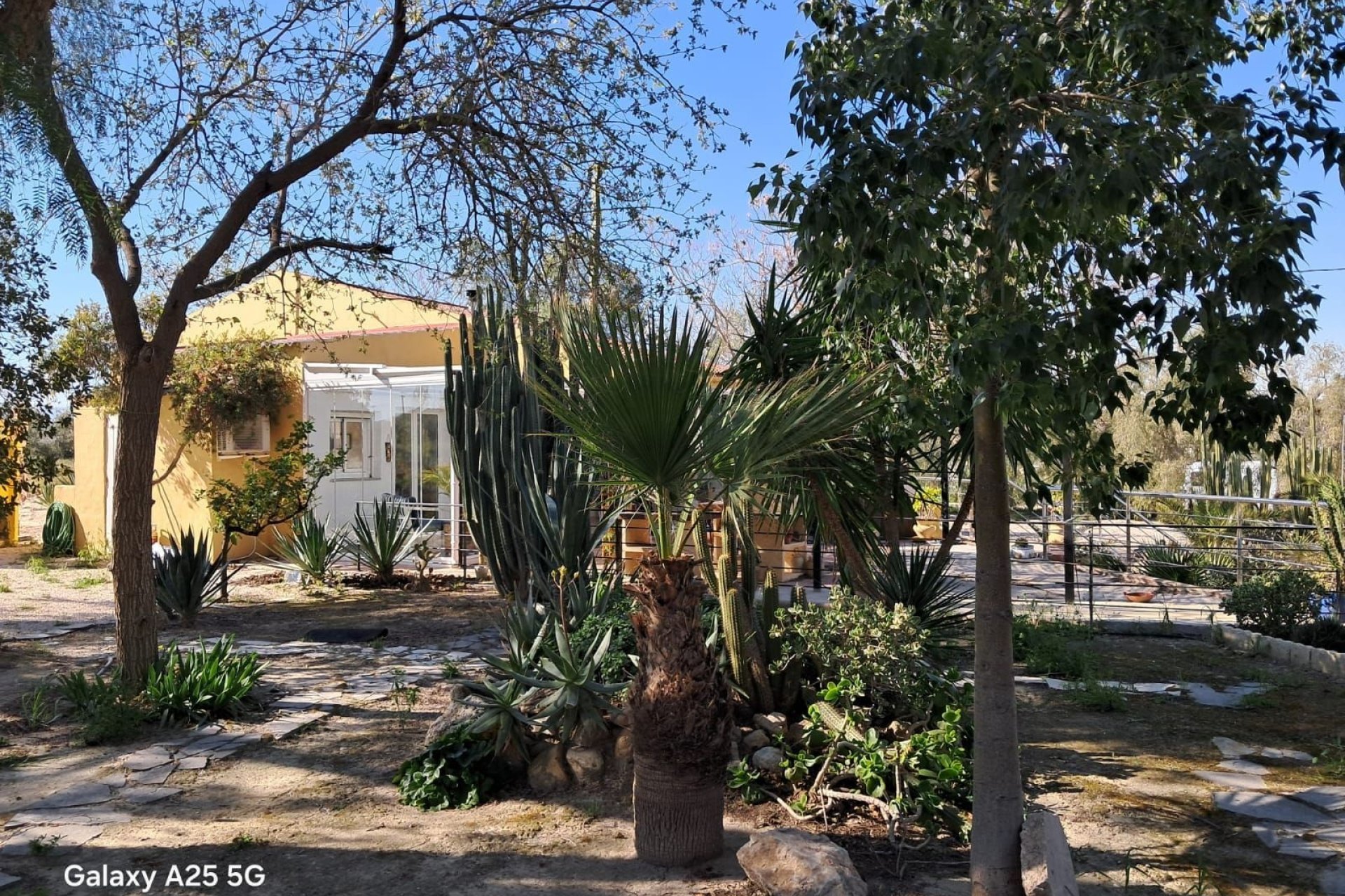 Resale - Plot / Land - Novelda
