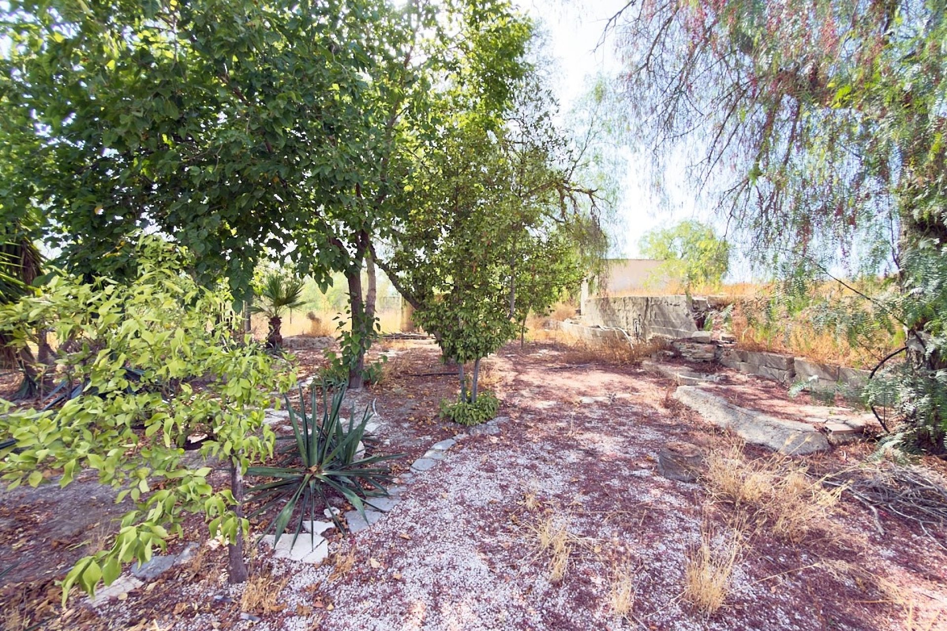 Resale - Plot / Land - Novelda