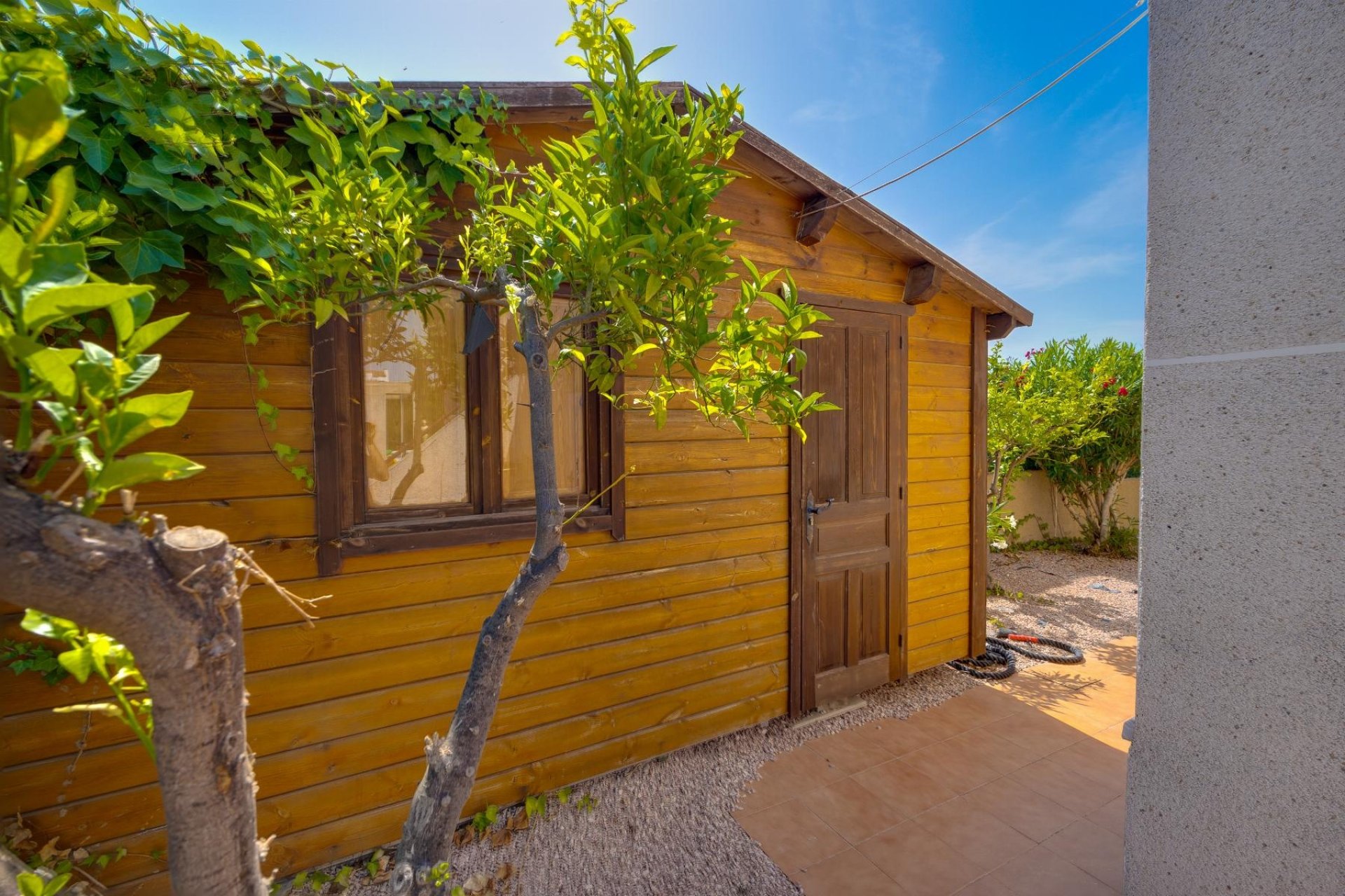 Resale - Villa - San Fulgencio - LA MARINA