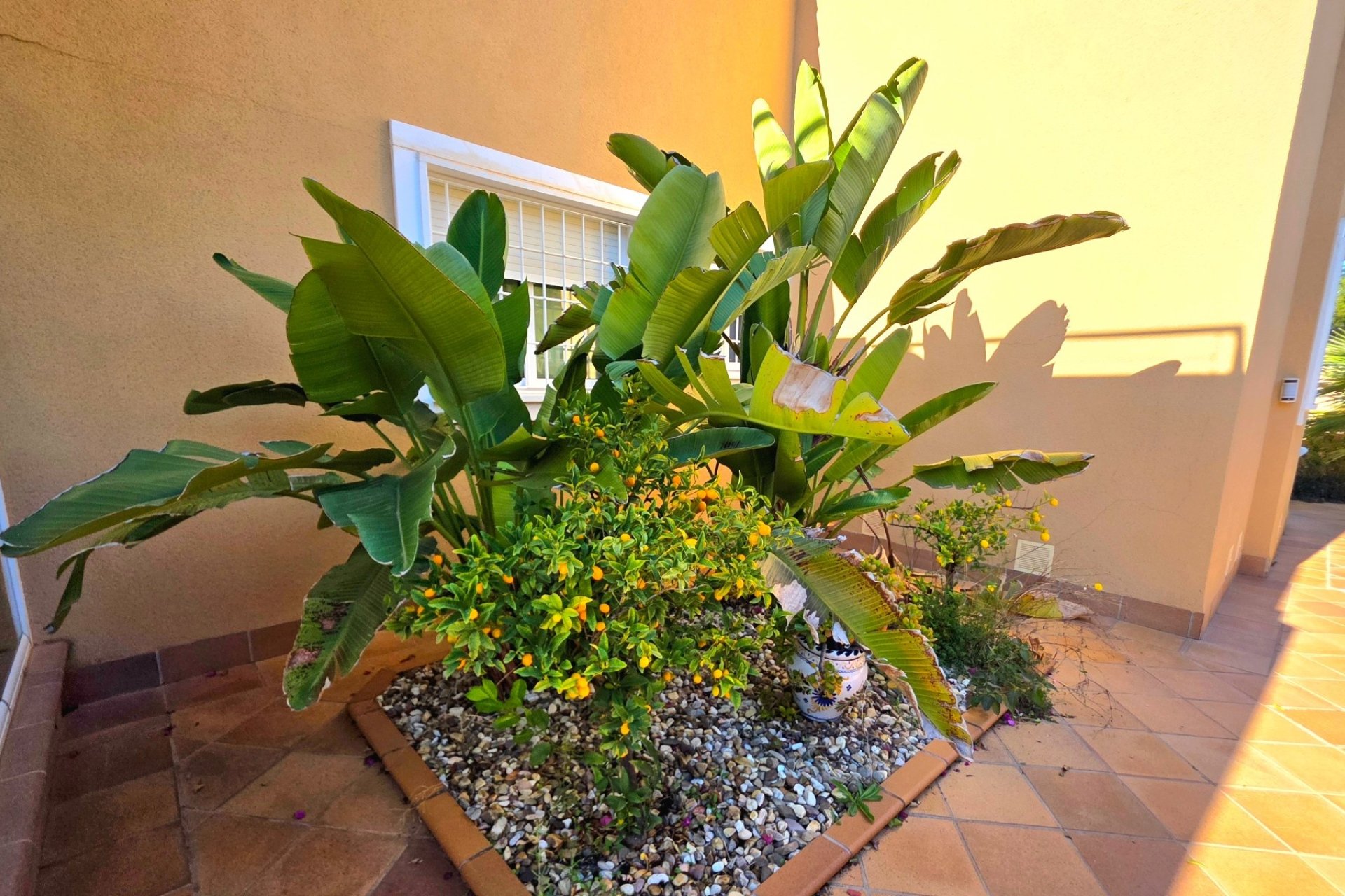 Resale - Villa - Torrevieja - Cabo Cervera