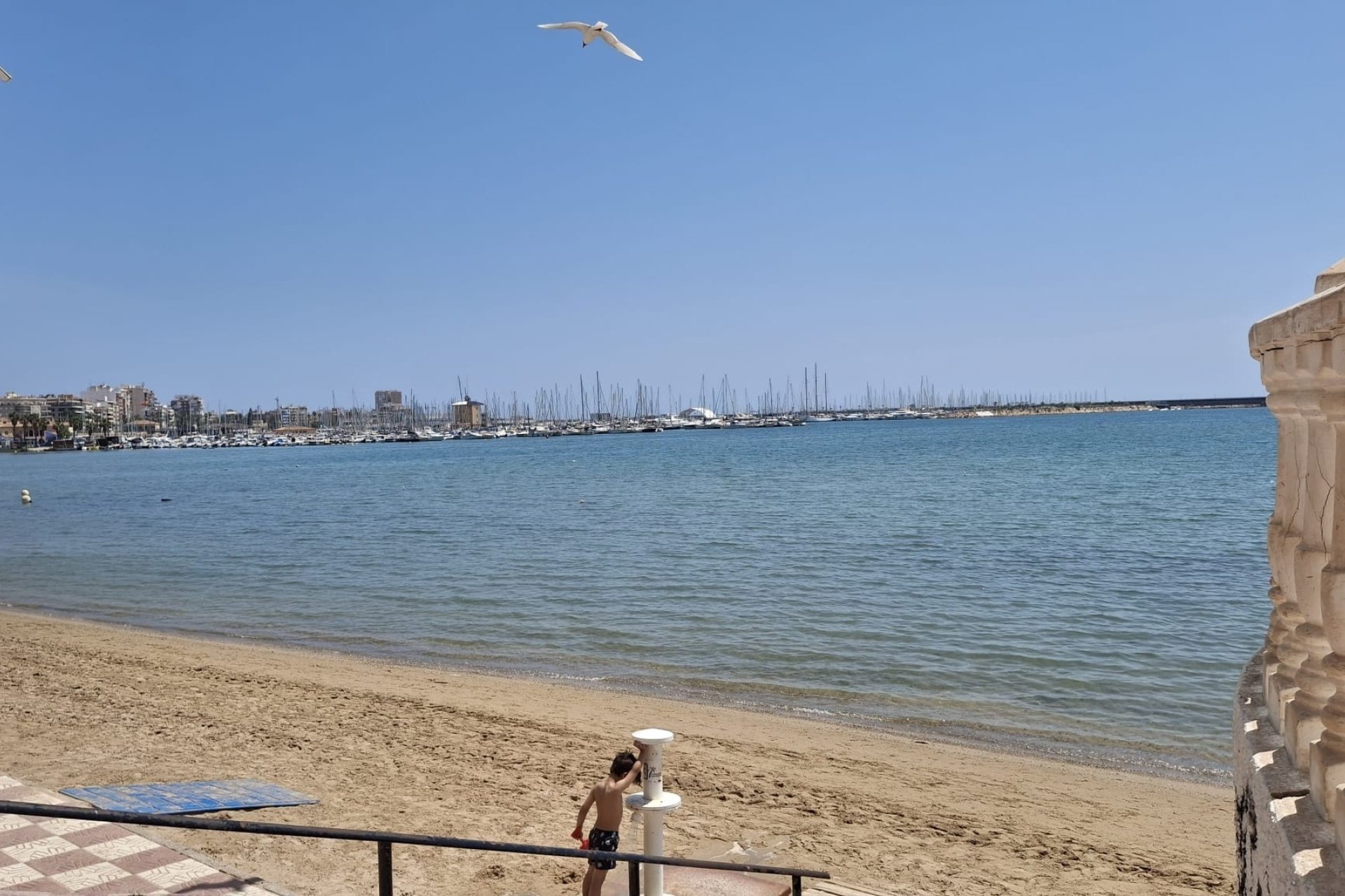 Reventa - Apartament / Duplex - Torrevieja - Playa Acequion