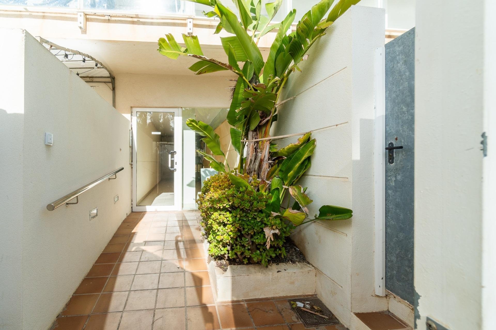 Reventa - Apartamento / piso - Guardamar del Segura - Guardamar Playa