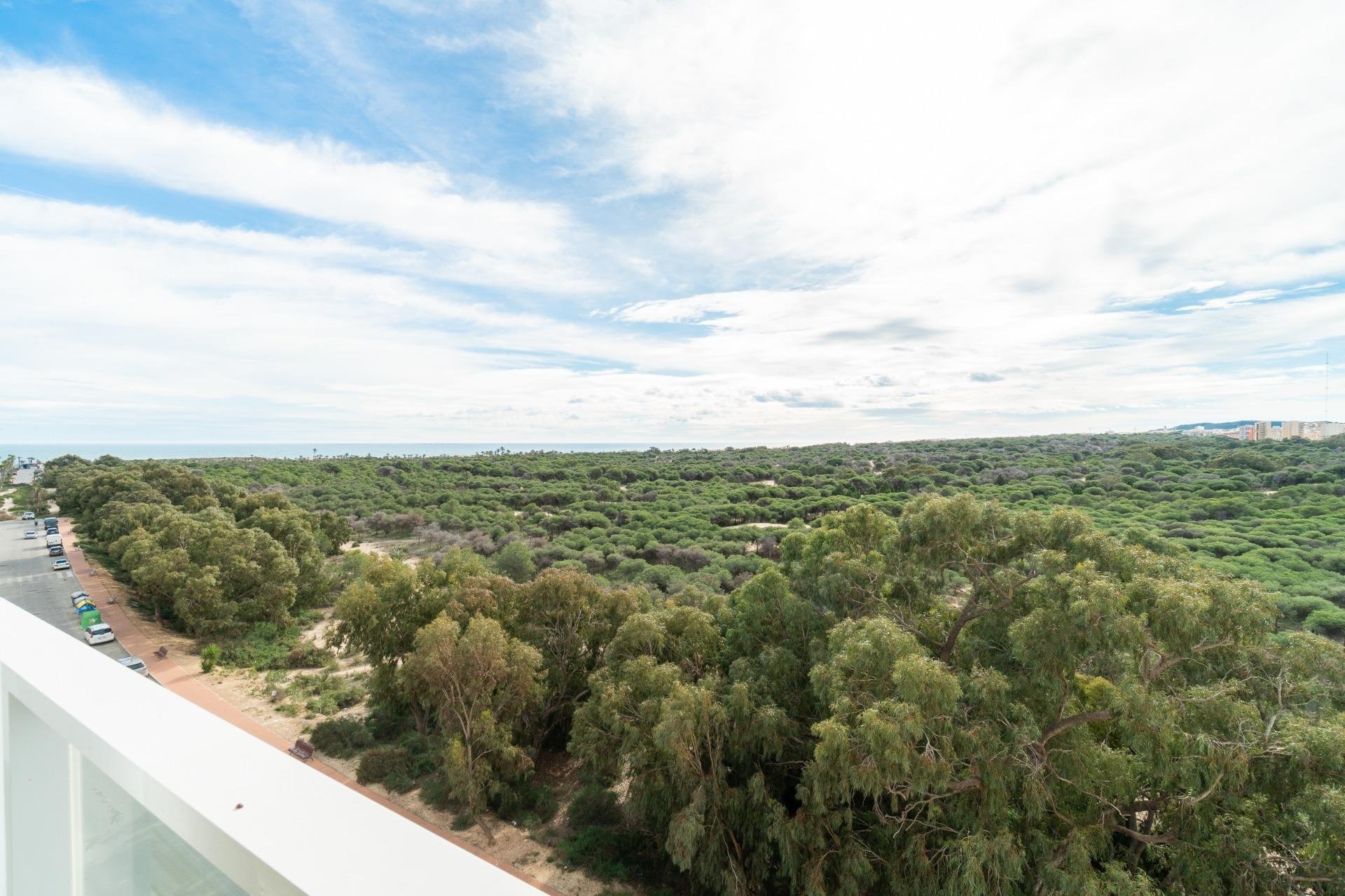 Reventa - Apartamento / piso - Guardamar del Segura - Guardamar