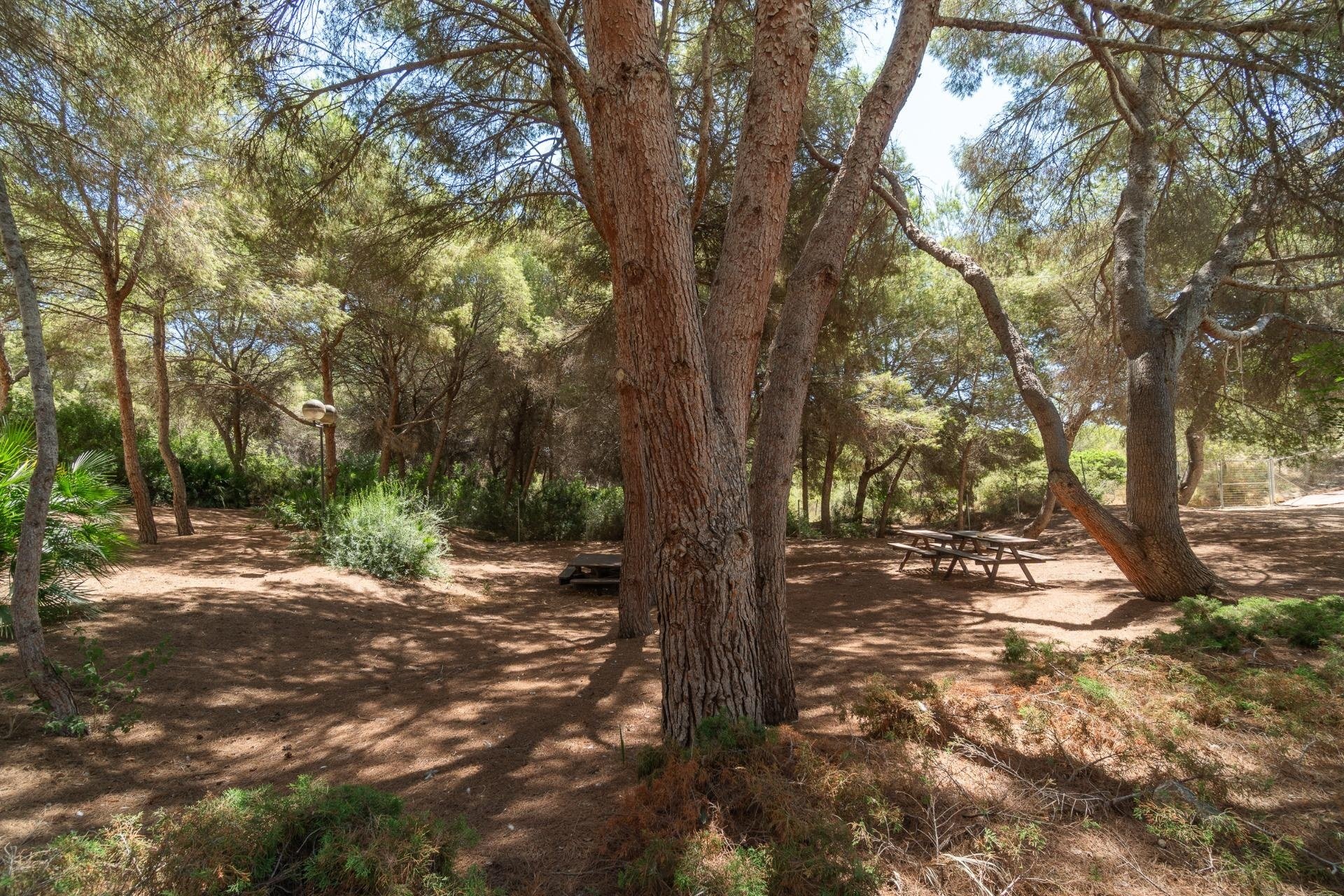Reventa - Apartamento / piso - Orihuela Costa - Altos de Campoamor