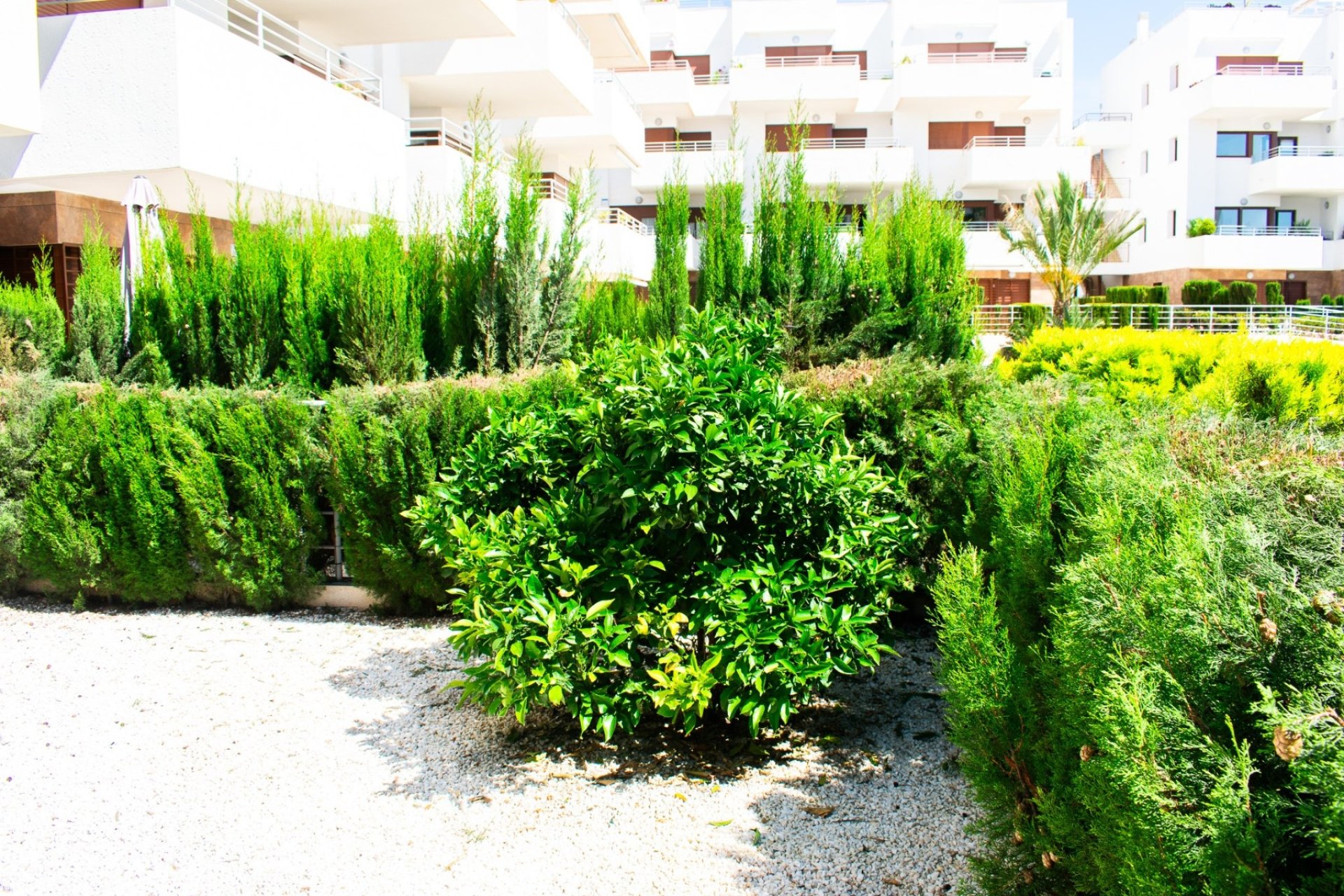 Reventa - Apartamento / piso - Orihuela Costa - Cabo Roig