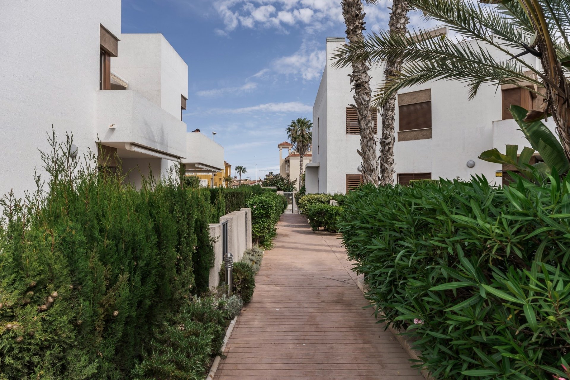 Reventa - Apartamento / piso - Orihuela Costa - La Zenia