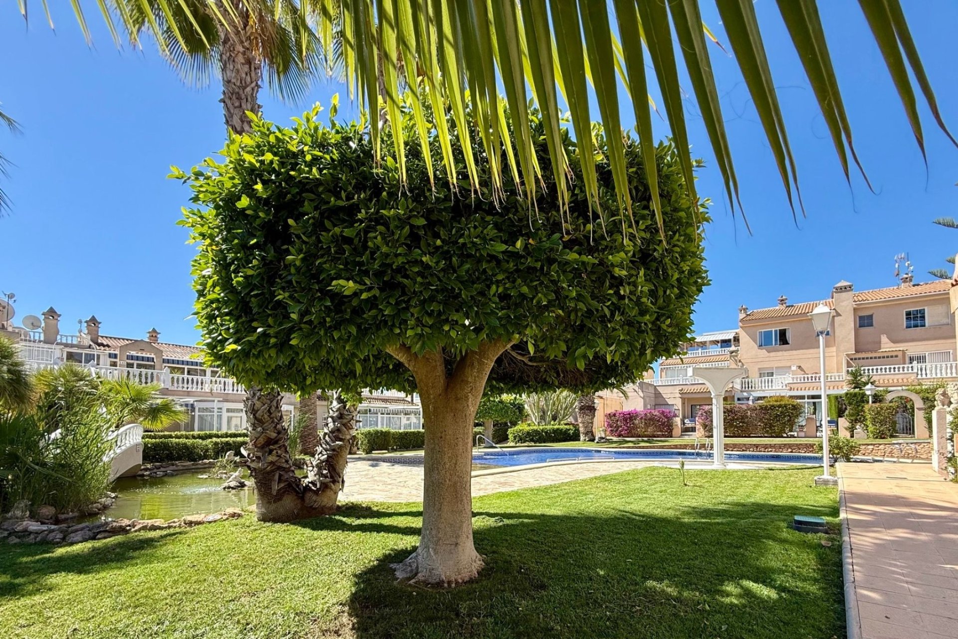 Reventa - Apartamento / piso - Orihuela Costa - Playa Flamenca
