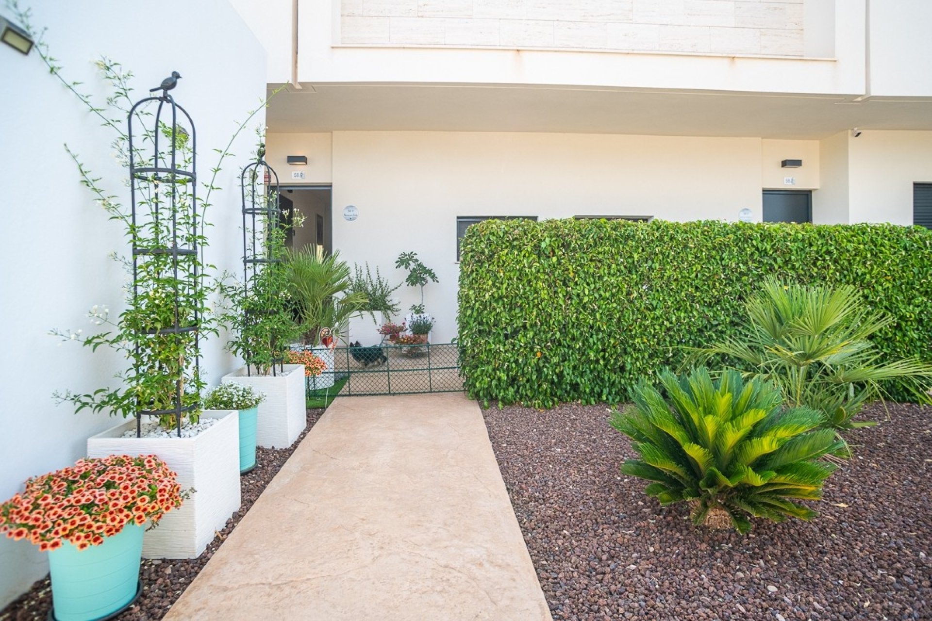 Reventa - Apartamento / piso - Pilar de la Horadada - Lo Romero Golf
