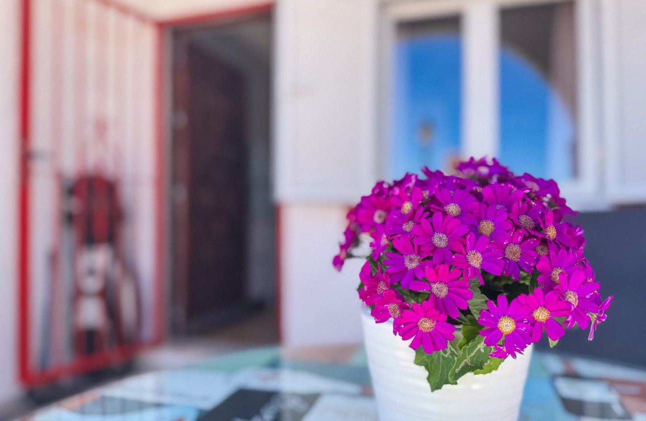 Reventa - Apartamento / piso - Torrevieja - Cabo Cervera