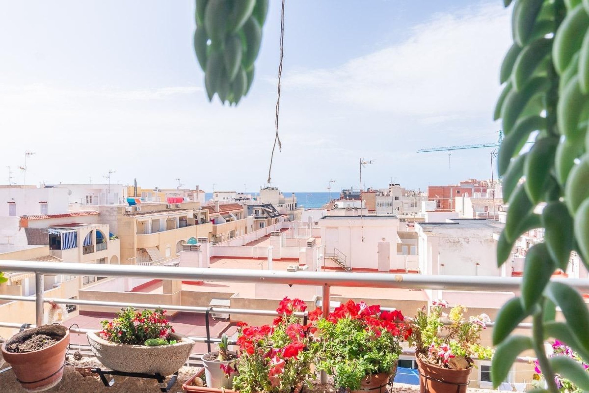 Reventa - Apartamento / piso - Torrevieja - Centro