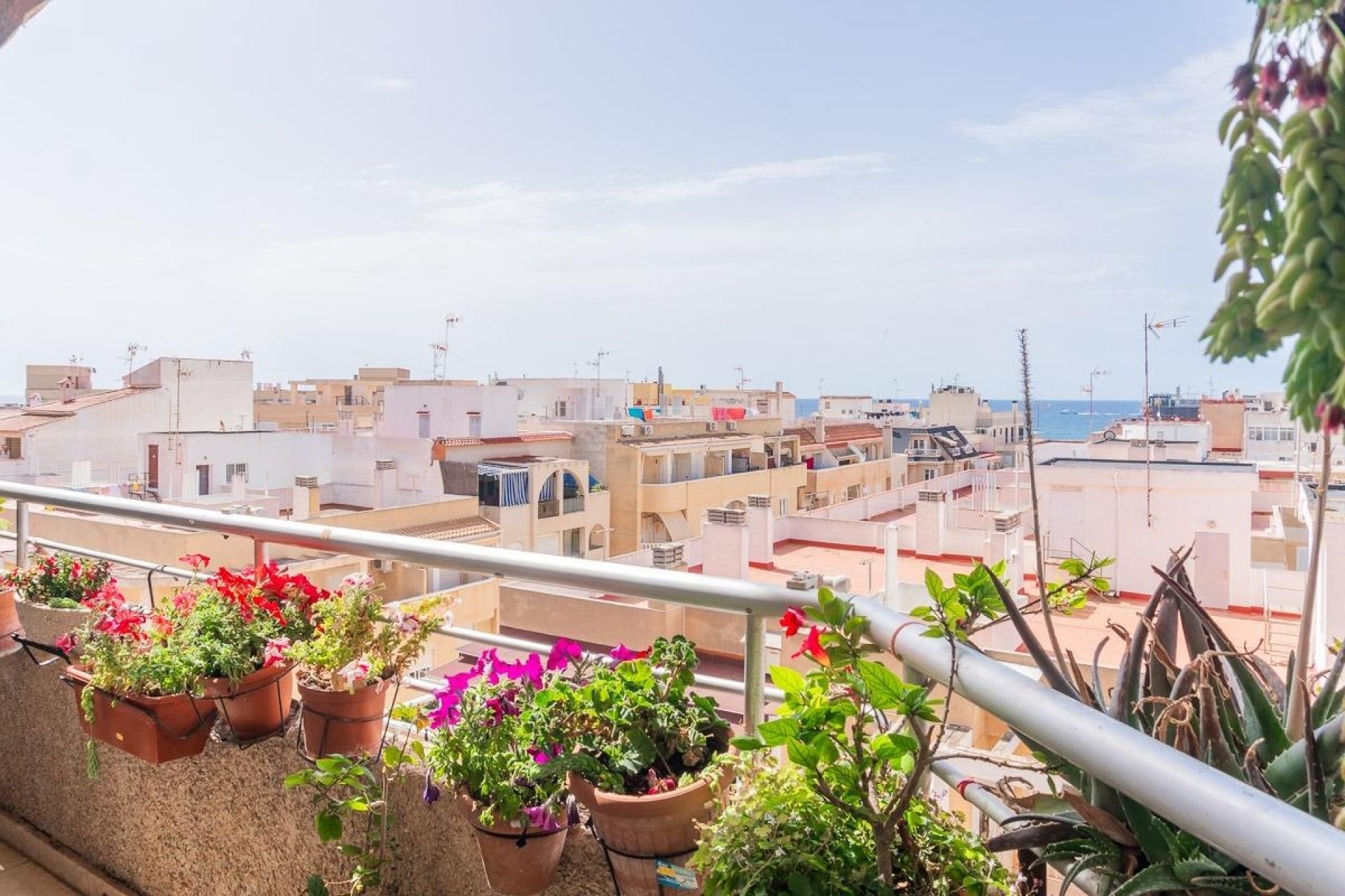 Reventa - Apartamento / piso - Torrevieja - Centro