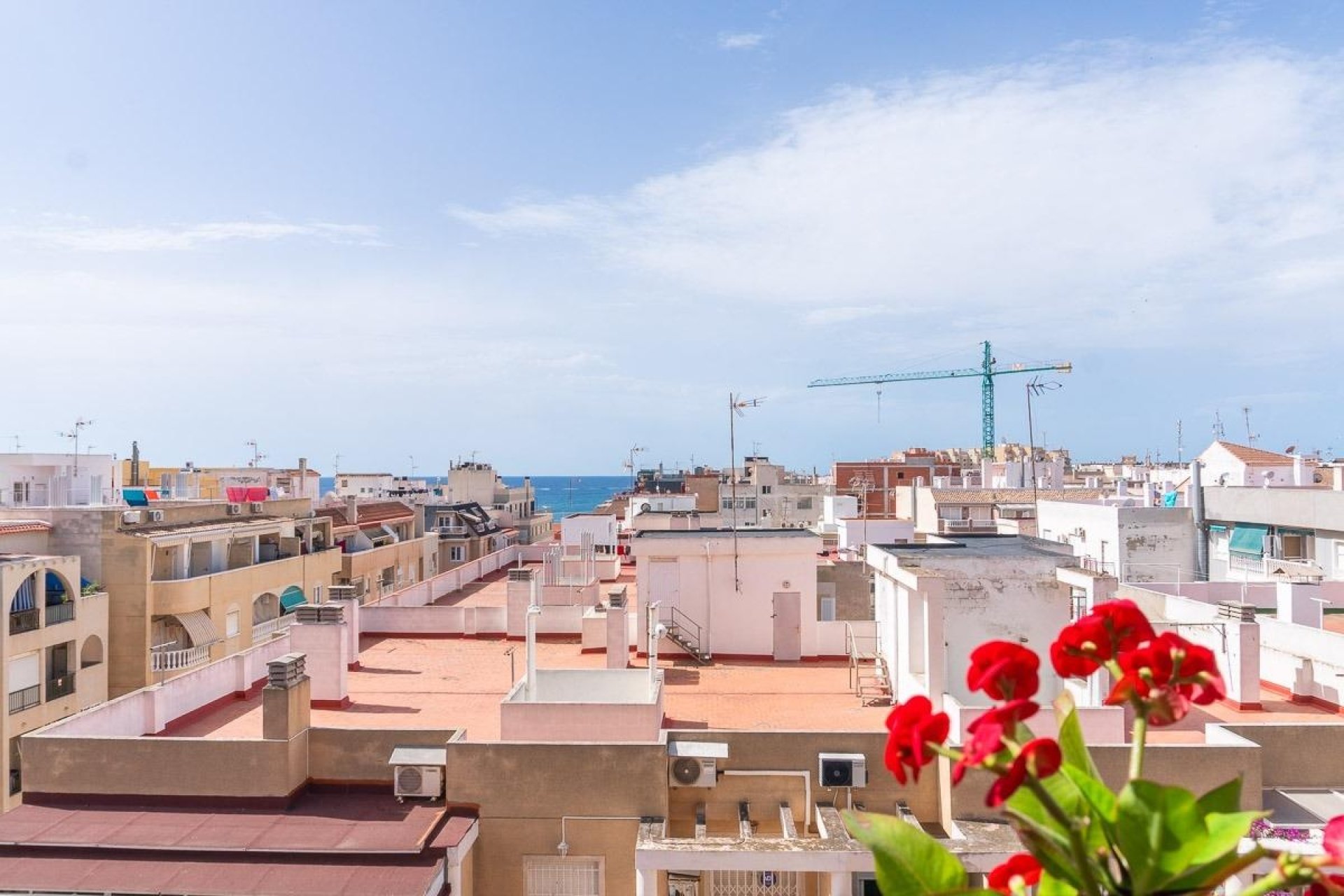Reventa - Apartamento / piso - Torrevieja - Centro