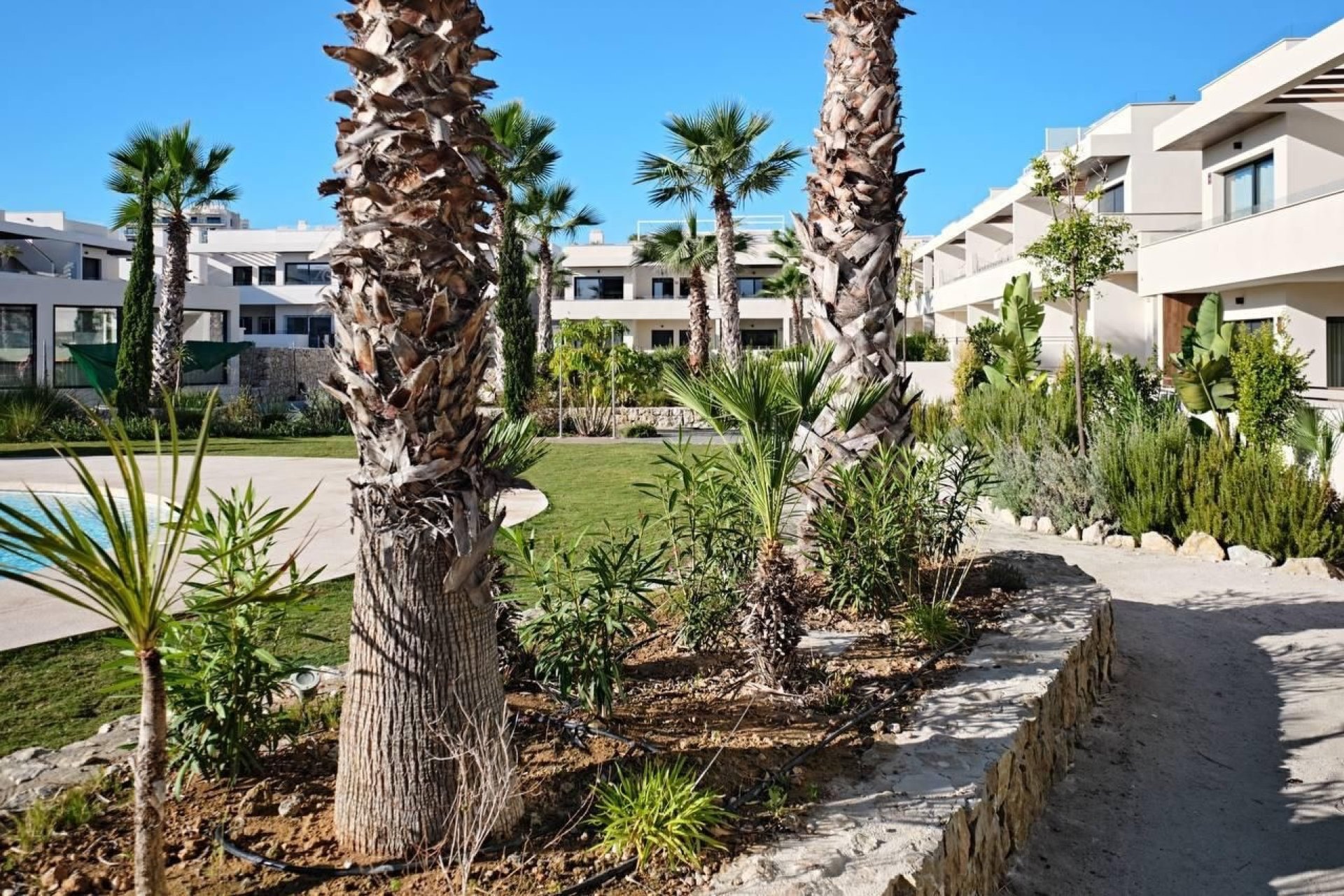Reventa - Apartamento / piso - Torrevieja - La veleta