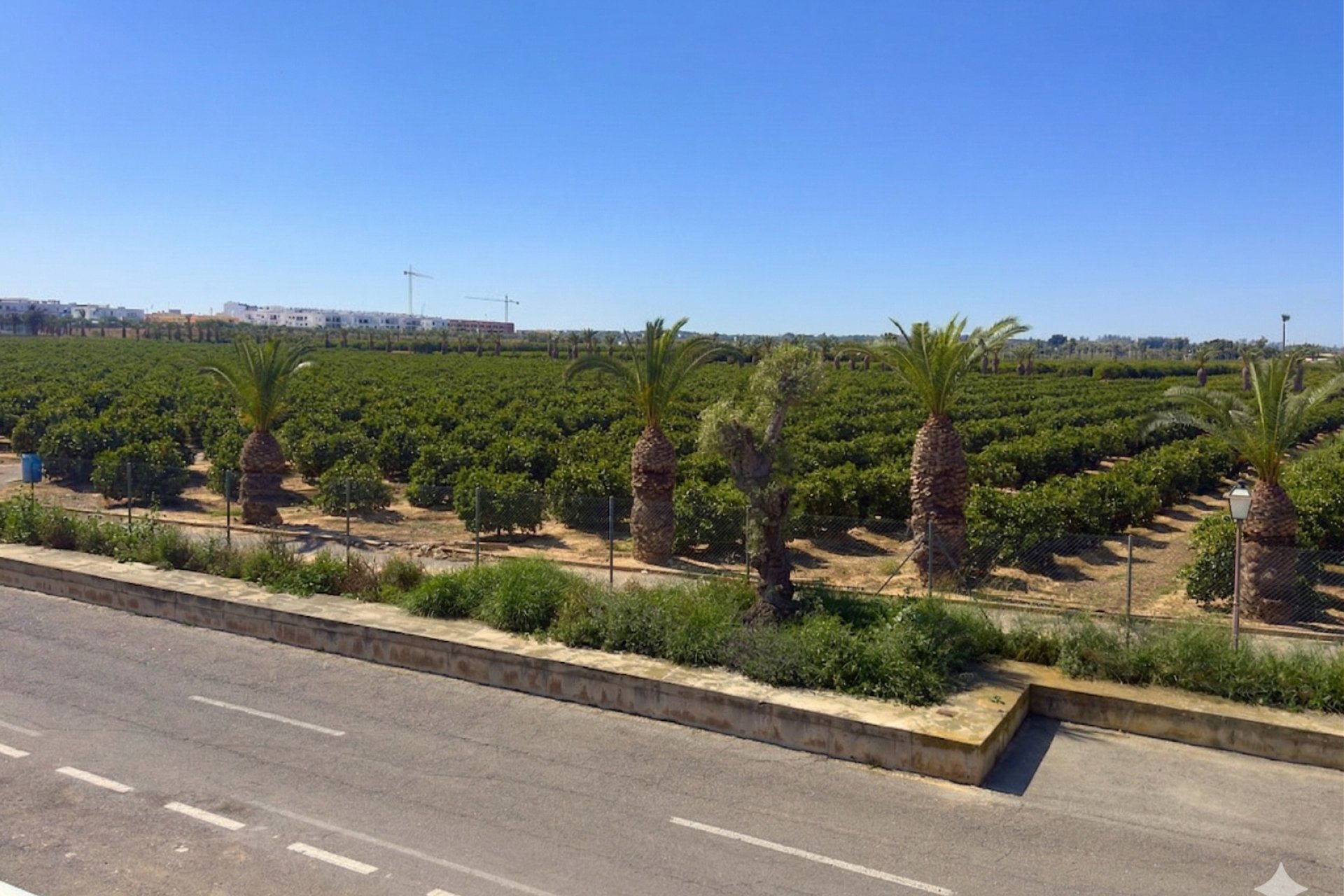 Reventa - Apartamento / piso - Torrevieja - Los Balcones