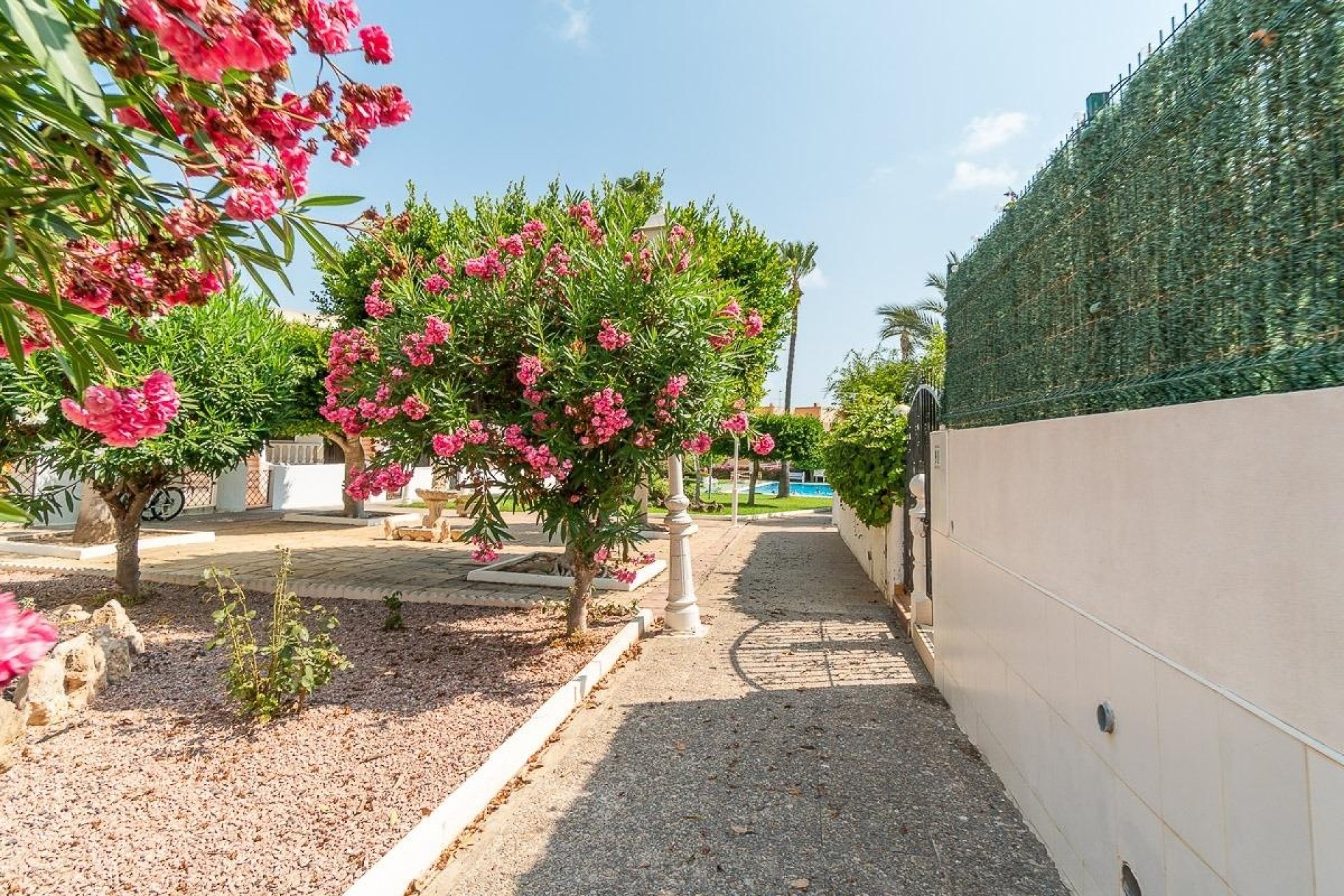 Reventa - Apartamento / piso - Torrevieja - Torreblanca