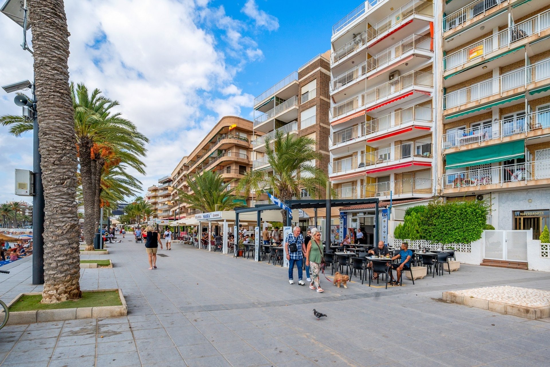 Reventa - Apartamento / piso - Torrevieja