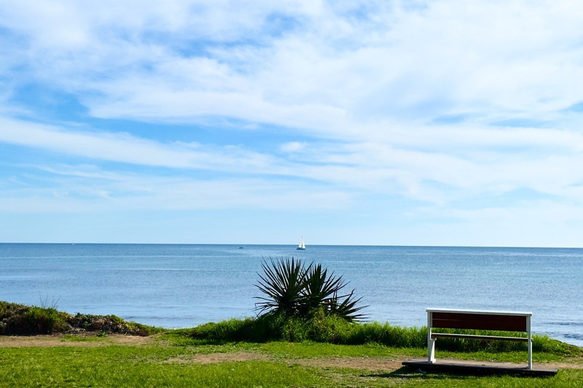 Reventa - Atico - Torrevieja - Mar Azul