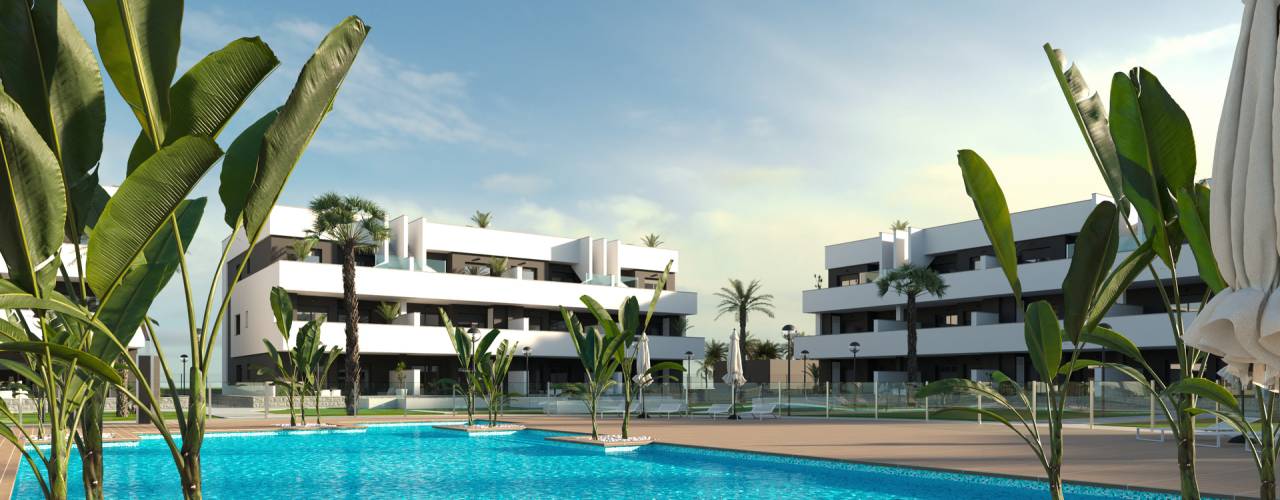 Oasis Laguna 3