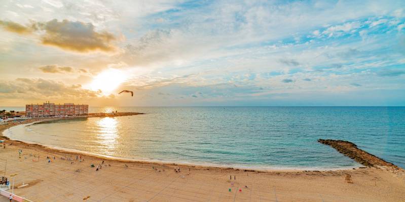 Guía 2026: Las 5 mejores zonas de Torrevieja y Orihuela Costa para comprar tu casa bajo el sol