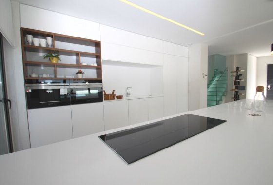 Obra nueva - Villa - San Miguel de Salinas